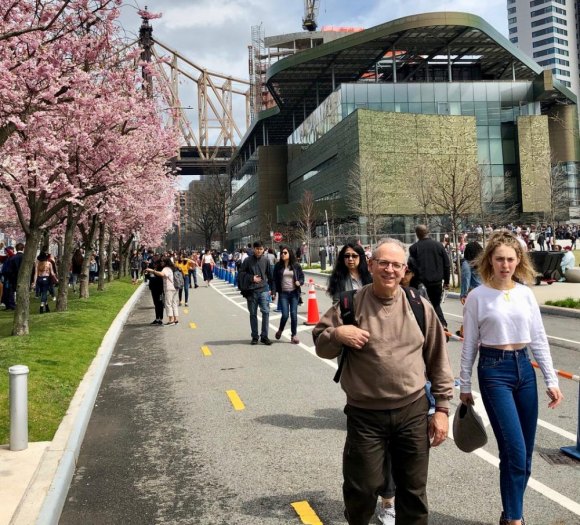 Roosevelt Island Cherry Blossom Festival Success and Related Troubles Roosevelt Island Cherry Blossom Festival Success and Related Troubles